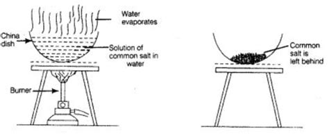 Evaporation, Distillation | Class 6, Science, Separation of Substances