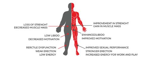 Testosterone Replacement - The Mans MD