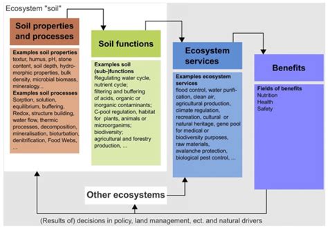 Assessment of the contributions of soil functions to ecosystem services... | Download Scientific ...