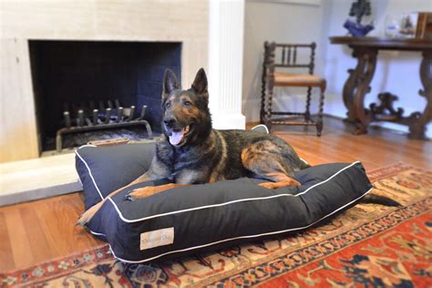 Black and White Dog Bed Modern Pet Beds Durable Dog Bed