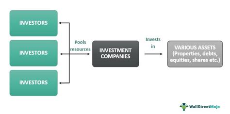 Investment Company - What Is It, Types, Examples