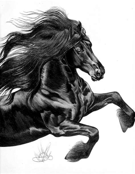 Friesian by Cheryl Poland | Horse head drawing, Horse art ideas, Horse drawing