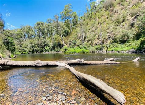 Horseshoe Bend Camping Ground, Campsite at null | Book at Campedia.com.au