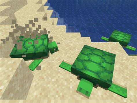 How to Breed Turtles in Minecraft: 7 Steps (with Pictures)