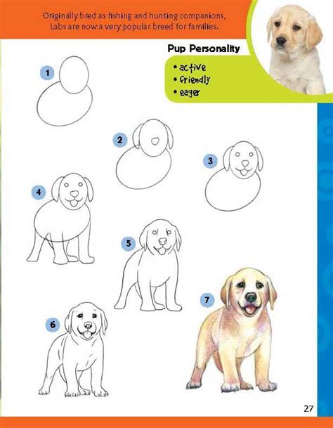 Learn to Draw Dogs & Puppies: Step-by-step instructions for more than 25 different breeds ...