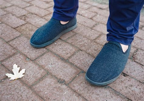 Allbirds Wool Loungers Review (Soft & Cozy) | Pack Hacker