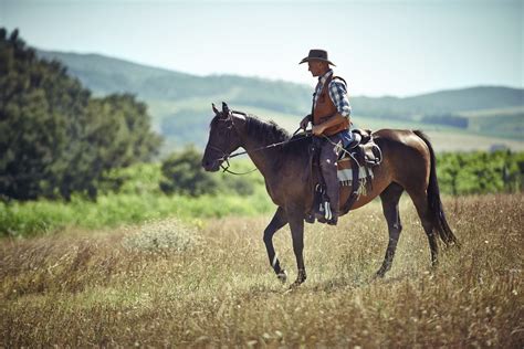 The Difference Between English and Western Riding