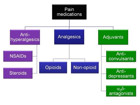 Mechanism of action of analgesics (2012)