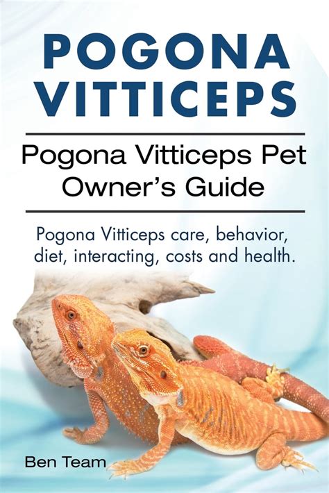 Pogona Vitticeps. Pogona Vitticeps Pet Owners Guide. Pogona Vitticeps Care, Behavior, Diet ...