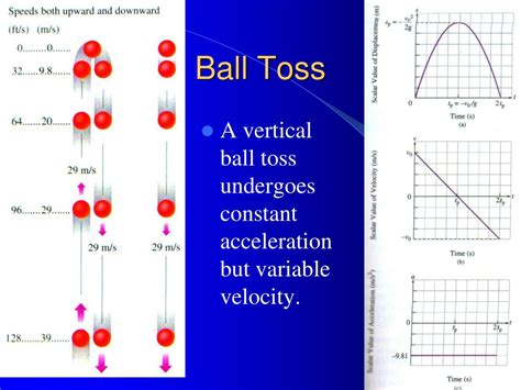 PPT - Physics - Motion and Vectors PowerPoint Presentation, free download - ID:7043744