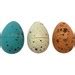 Hatch-a-Dino 3 Mini Dinosaur Eggs | BIG W