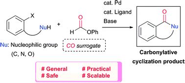 Concise synthesis of cyclic carbonyl compounds from haloarenes using phenyl formate as the ...