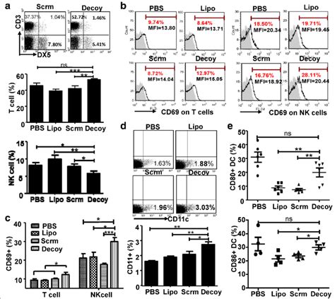 The HCC-vaccine activated the immune system in vivo. BALB/c mice were... | Download Scientific ...