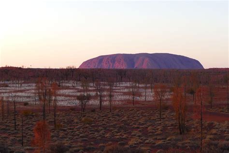 Uluru Field of Light - Why you Should Experience the Magic