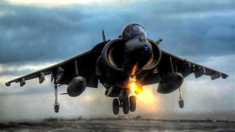 🔥 [80+] Harrier Wallpapers | WallpaperSafari