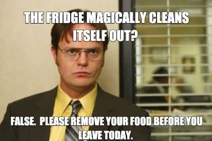 19 Dwight False Meme Images and Pictures | False meme, Dwight false, Memes