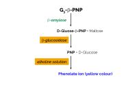 Beta-Amylase Assay Kit Betamyl-3 - Analysis of Beta-Amylase | Megazyme