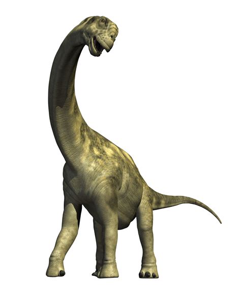 Dinosaur PNG Image - PurePNG | Free transparent CC0 PNG Image Library