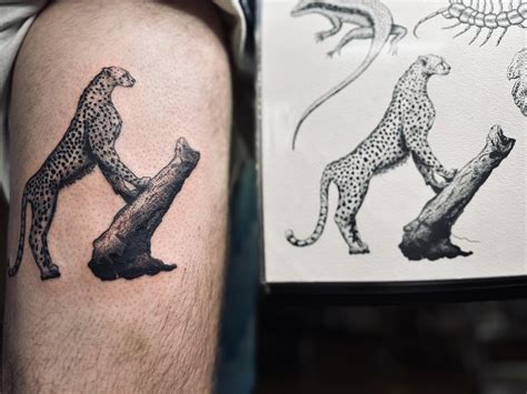 Cheetah Tattoo, completed v. Flash by me @tats.by.Kyle Toronto ON : r/TattooDesigns