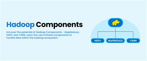 Hadoop Components - Architecture, Components, & More