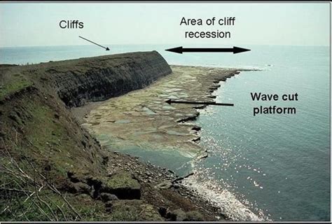 Wave cut platform - Alchetron, The Free Social Encyclopedia