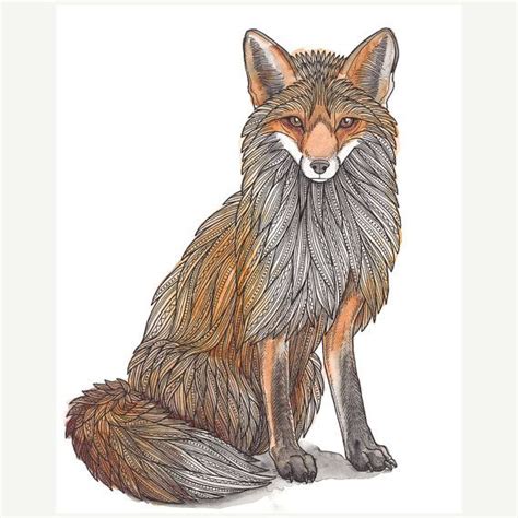 Sitting Fox Giclee Print | Etsy | Fox illustration, Fox art print, Fox art