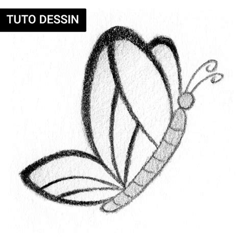 Papillon dessin facile qui s'envole - Tutoriel