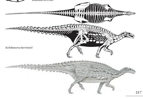 Scelidosaurus - Alchetron, The Free Social Encyclopedia