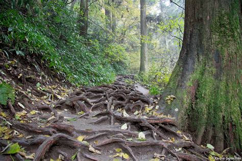 Mount Takao - Great hiking spot close to Tokyo