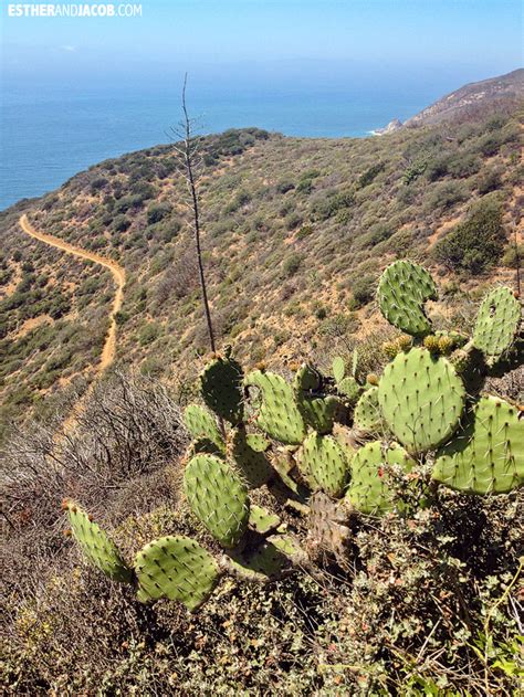 Hike LA | Point Mugu State Park » Local Adventurer » Travel Adventures ...