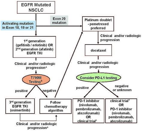 Algorithm for the management of EGFR-mutated non-small-cell lung cancer... | Download Scientific ...