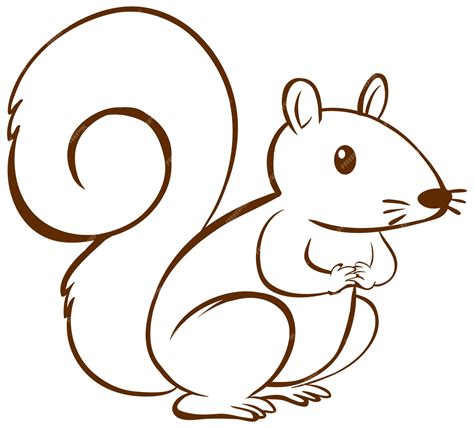 Squirrel Drawing Pictures