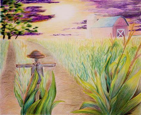 Corn Field Drawing by Michael Lyons - Fine Art America