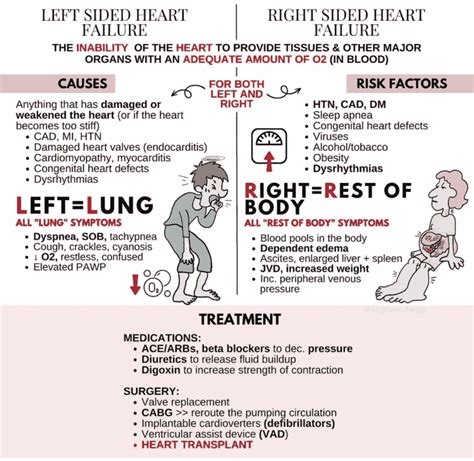 Chronic Heart Failure: Approach, Evaluation and Management - Manual of ...