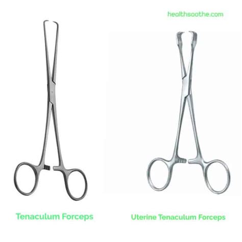 Top 10 Gynecology Instruments And Their Uses