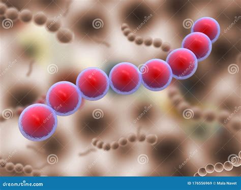 Cocci Shape of Bacteria. Streptococci Type Bacteria. Stock Illustration ...