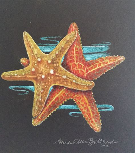 Starfish Drawing, Starfish Painting, Starfish Art, Beach Painting ...