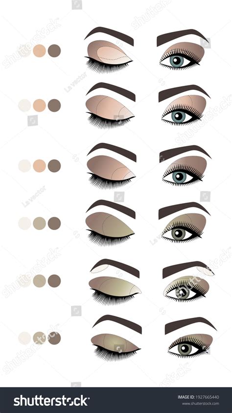 How Apply Eyeshadow Guide Diagram Vector Stock Vector (Royalty Free ...