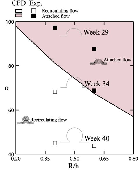 Figure 4 from Biomimetics of fetal alveolar flow phenomena using microfluidics. | Semantic Scholar