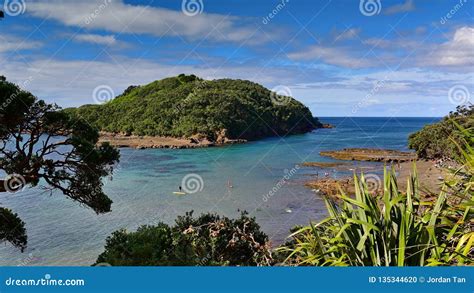 Goat Island Marine Reserve, Popular for Snorkeling in New Zealand Stock Photo - Image of marine ...