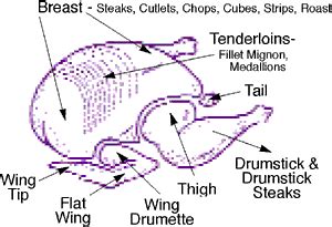 The Anatomy Of A Turkey