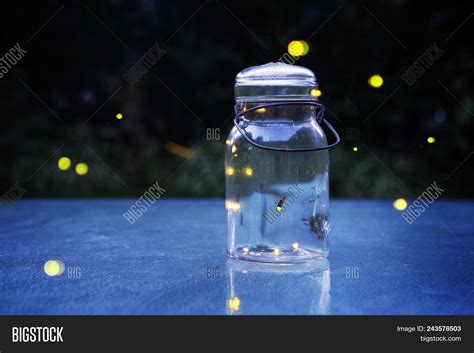 Fireflies Jar Outdoors Image & Photo (Free Trial) | Bigstock