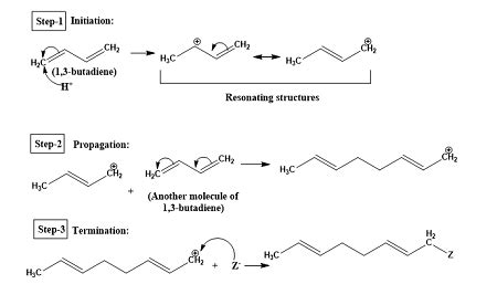 Show the mechanism of the acid-catalyzed polymerization of 1,3-butadiene. | Homework.Study.com