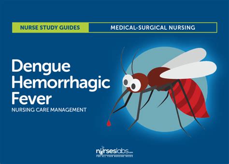 Dengue Hemorrhagic Fever Nursing Care Management and Study Guide