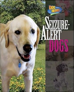 Seizure-Alert Dogs (Dog Heroes): Margaret Fetty: 9781597168656: Amazon ...