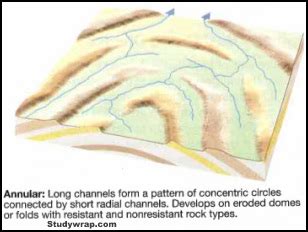 Drainage System - Types of Drainage Patterns - Study Wrap