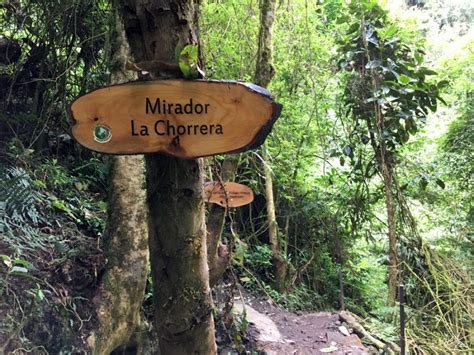 La Chorrera Waterfall – A weird day trip to Colombia's tallest waterfall - The Occasional Traveller