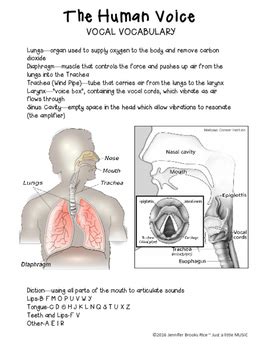 The Human Voice--Vocal anatomy, how we sing, and voice parts UNIT