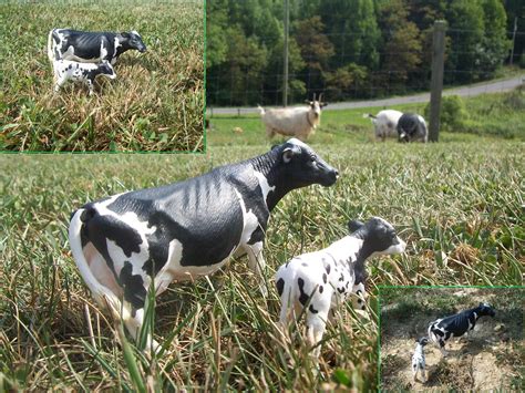 Schleich Cow and Calf | The Blog of Toys