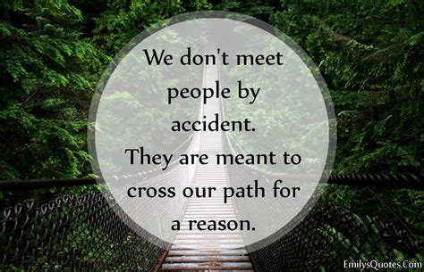 We don’t meet people by accident. They are meant to cross our path for a reason | Quotes about ...